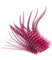 Plume courte pour cheveux - Rose flashy