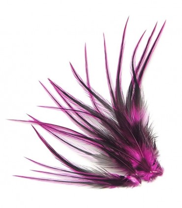 Plume courte unie avec un liseret noir au milieu à fixer dans les cheveux comme une extension
(vendue à l'unité)
Le coloris Fush