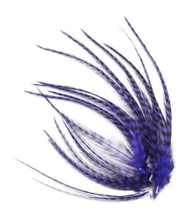 Plume courte rayée à fixer dans les cheveux comme une extension
(vendue à l'unité)
Le coloris Violet profond est un violet fo
