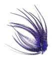 Violet profond - plumes courtes à fixer dans les cheveux