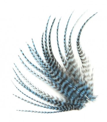 Plume courte rayée à fixer dans les cheveux comme une extension
(vendue à l'unité)
Le coloris Bleu tendre est un bleu au ton