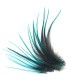 Plume courte unie avec un liseret noir au milieu à fixer dans les cheveux comme une extension
(vendue à l'unité)
Le coloris B