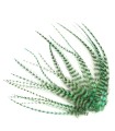 Vert aquatique - plumes courtes à fixer dans les cheveux