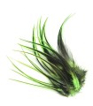 Plume courte pour cheveux - Vert flashy