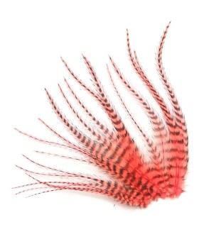 Corail fluo - plumes courtes à fixer dans les cheveux