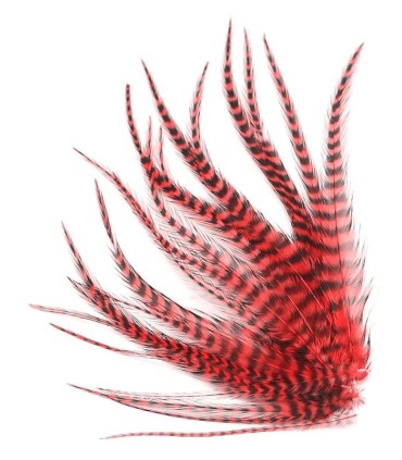 
Plume courte rayée à fixer dans les cheveux comme une extension

(vendue à l'unité)

Le coloris Rouge pur est un rouge véritabl