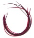 Plume à fixer dans les cheveux comme une extension
(vendue à l'unité)
Le coloris Cerise est un rouge profond, glamour, type roug