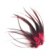 Plume courte unie avec un liseret noir au milieu à fixer dans les cheveux comme une extension
(vendue à l'unité)
Le coloris C