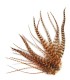 
Plume courte rayée à fixer dans les cheveux comme une extension

(vendue à l'unité)

Le coloris Cannelle est un brun chaud aux 