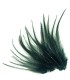Plume courte rayée à fixer dans les cheveux comme une extension
(vendue à l'unité)
Le coloris Noir est un noir teinté ayant u